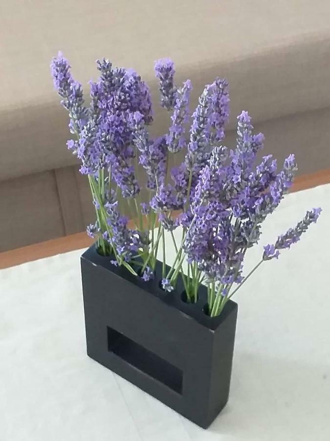 Atena Zaton 2 Apartment Nin Bagian luar foto